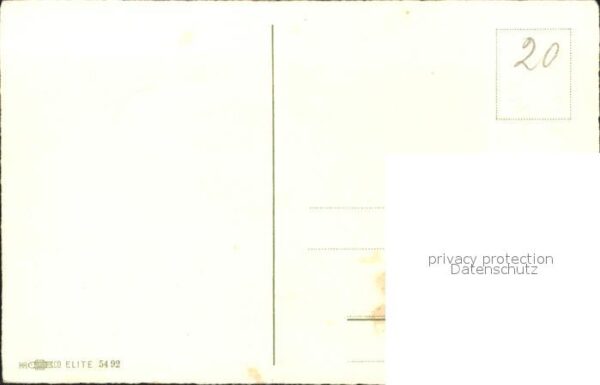 Muttertag Nelken – Bild 2