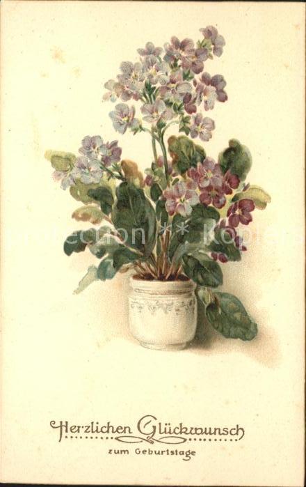 Geburtstag Primeln Verlag-Amag-Nr. 1273 Litho