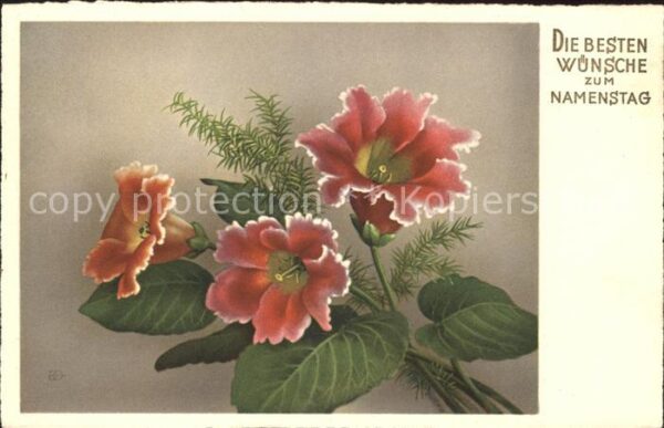 Namenstag Namenskarte Blumen Verlag-Elite-Nr. 5493