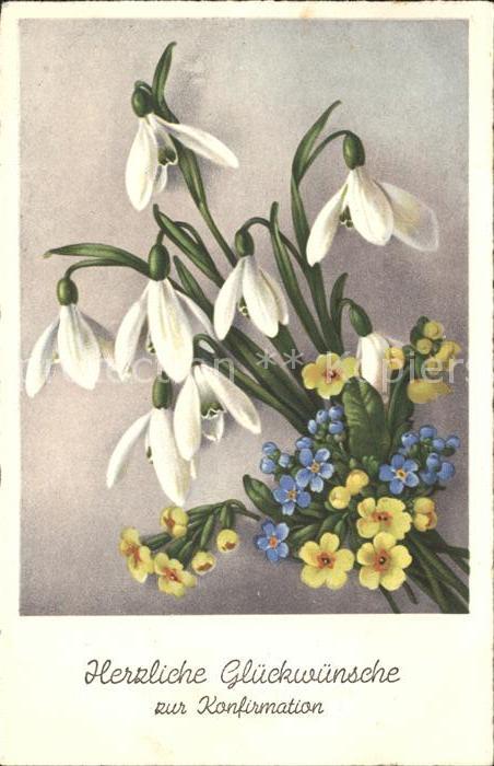 Blumen Schneeglöckchen Vergissmeinnicht Schlüs