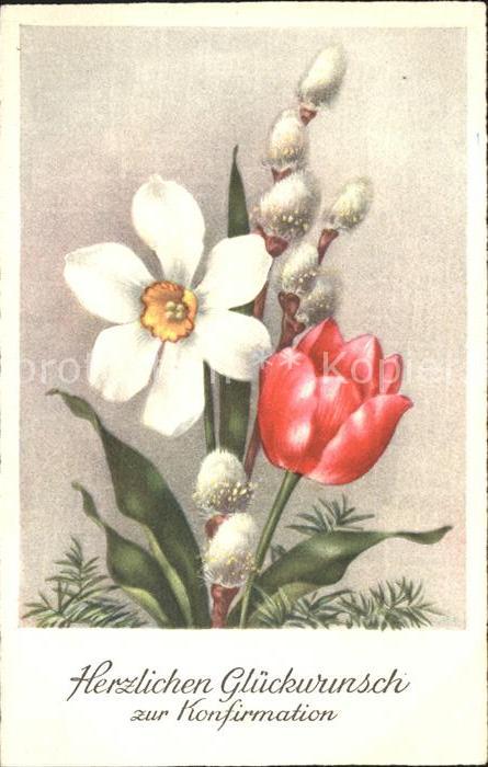 Konfirmation Tulpe Narzisse Weidenkätzchen