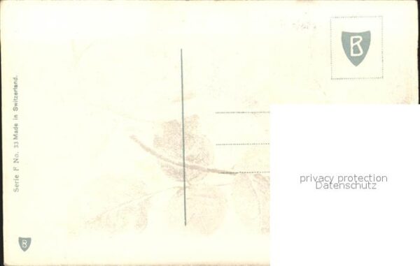 Blumen Nelken – Bild 2