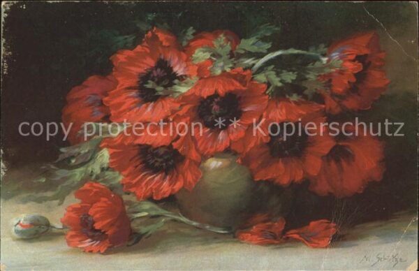 Kuenstlerkarte W. Schütze Anemonen