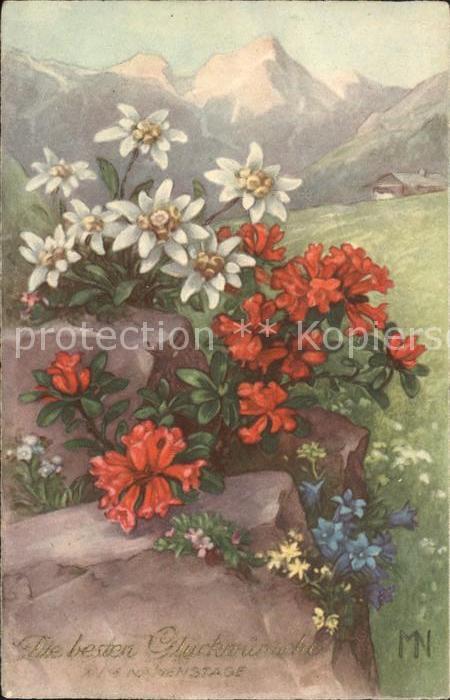 Edelweiss Alpenrosen Enzian Namenstag