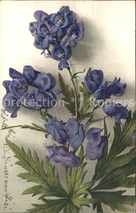 Blumen