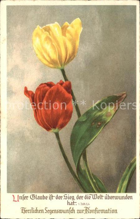 Blumen Tulpen Konfirmation