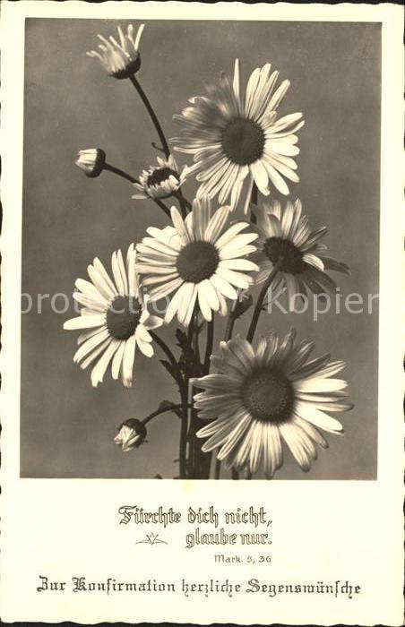 Blumen Margeriten Konfirmation