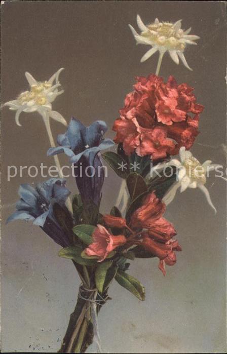 Edelweiss Alpenrosen Enzian