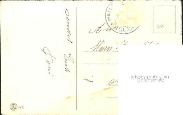 Pilze Kleeblätter Neujahr – Bild 2