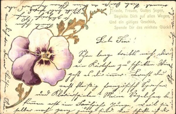 Blumen Stiefmütterchen Gedicht