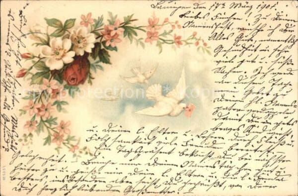 Brieftaube Carrier Pigeon voyageur Rosen Blumen Litho