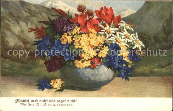 Edelweiss Enzian Alpenveilchen Alpenblumen