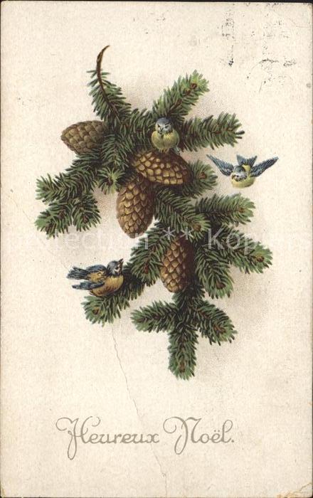 Tannenzapfen Vögel Weihnachten Verlag-Amag-Nr. 1857