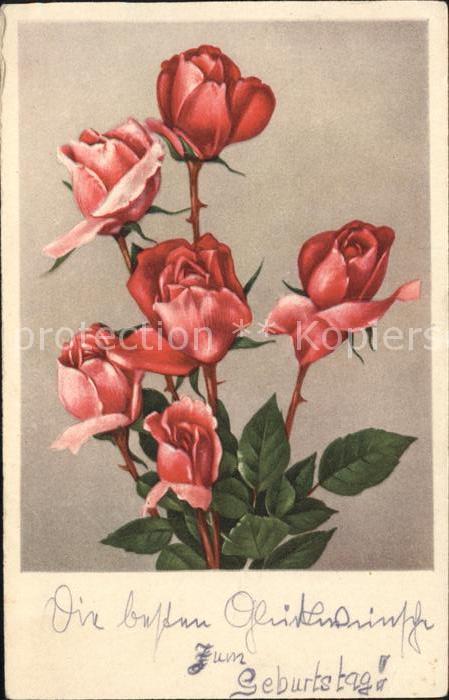 Rosen