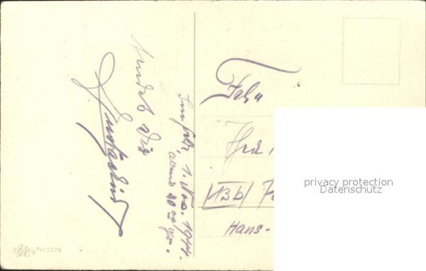 Rosen – Bild 2