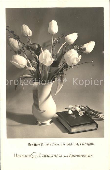 Konfirmation Bibel Tulpen Märzenbecher