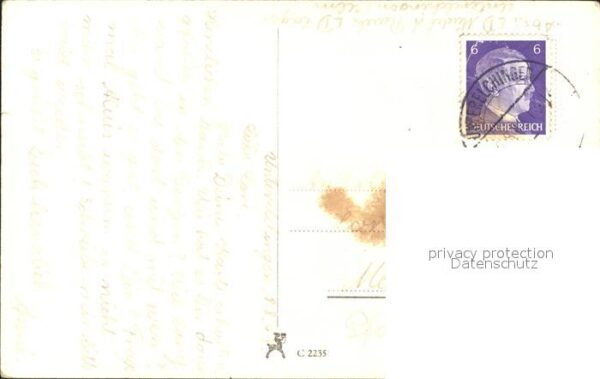 Pflanzen Weidenkätzchen – Bild 2