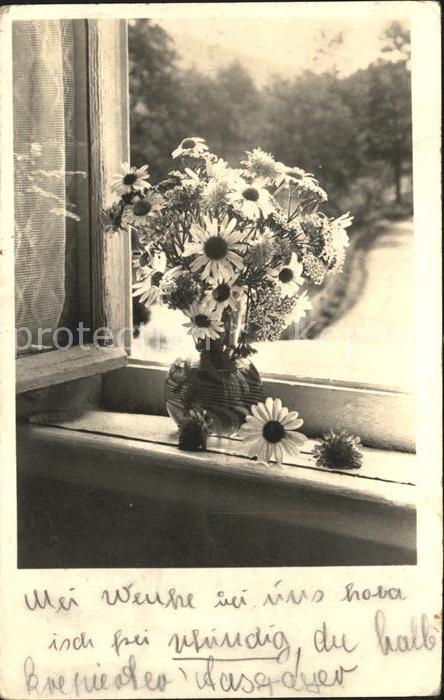 Foto Amag Nr. 67443/3 Margeriten