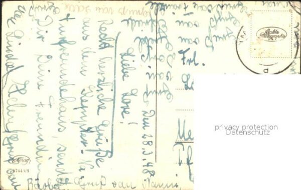 Foto Amag Nr. 67443/3 Margeriten – Bild 2