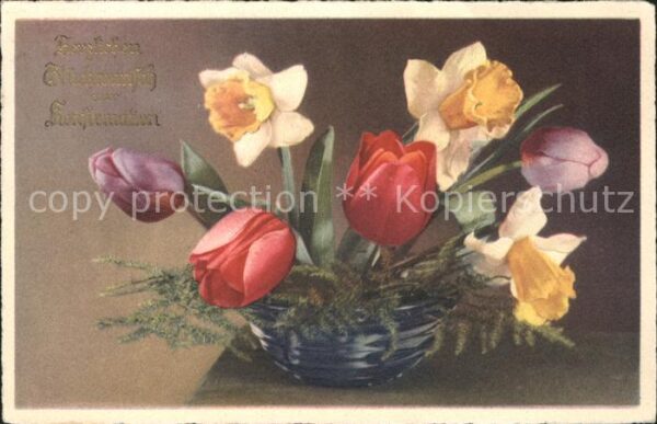 Blumen Tulpen Narzissen