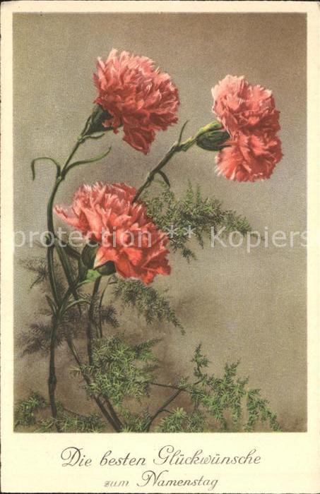 Blumen Nelken Namenstag