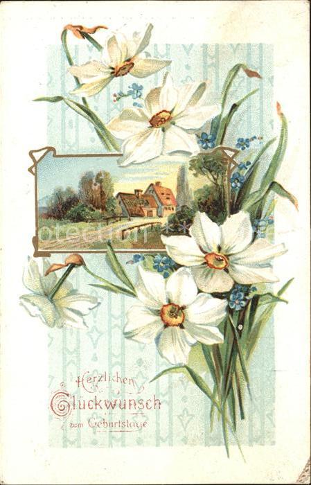 Geburtstag Narzissen Vergissmeinnicht Litho