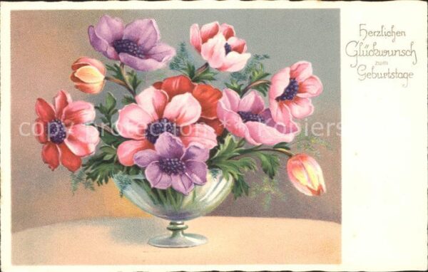 Geburtstag Anemonen Verlag-Amag-Nr. 2970