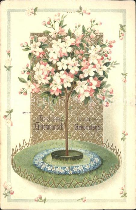 Geburtstag Kolkwitzie Litho