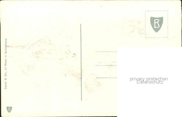 Maigloeckchen Veilchen – Bild 2