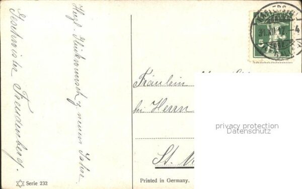 Blumen Astern Mirabellen – Bild 2