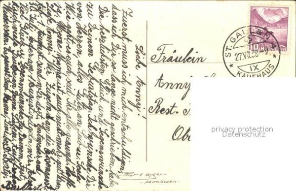Rosen – Bild 2