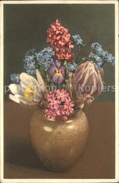 Blumen Pelz-Anemone Mehlprimel Vergissmeinnich