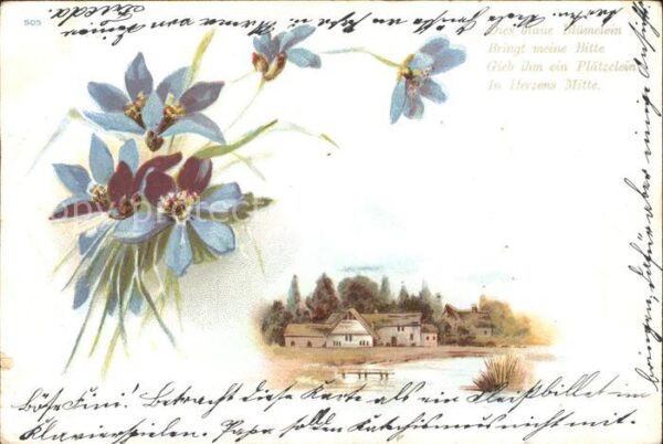 Blumen Gedicht Litho