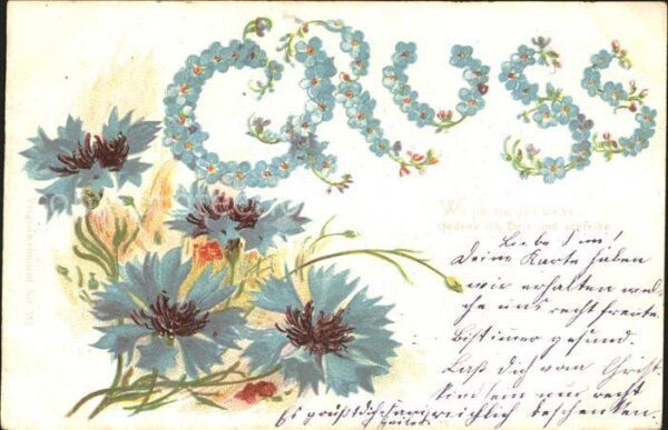 Blumen Vergissmeinnicht Kornblumen Gedicht