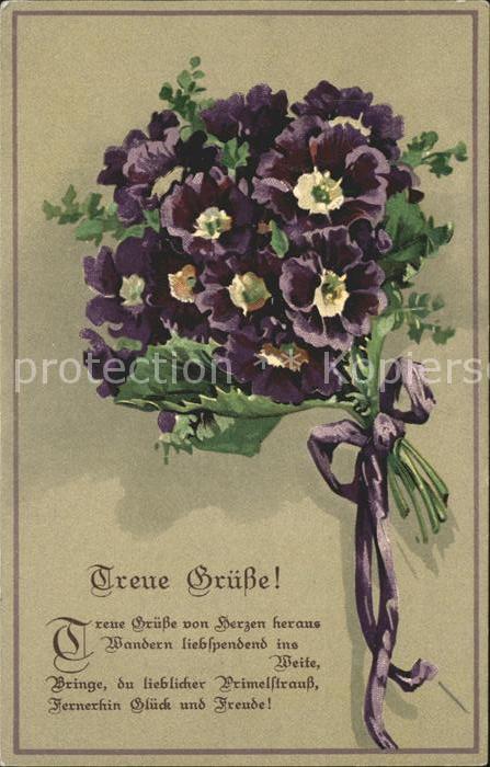 Blumen Primeln Litho