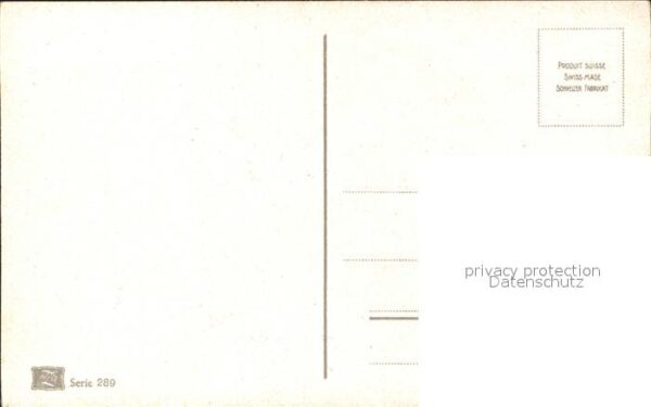 Rosen – Bild 2
