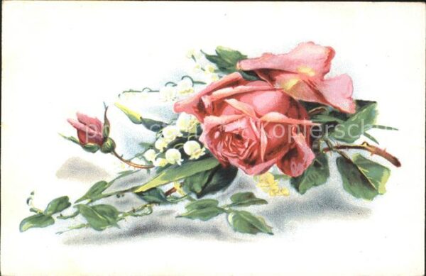 Rosen Maiglöckchen