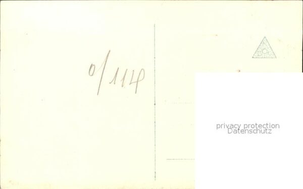 Foto Ammon L. Nr. 63093/1 Nelken – Bild 2