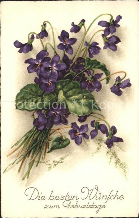 Blumen Veilchen Geburtstag