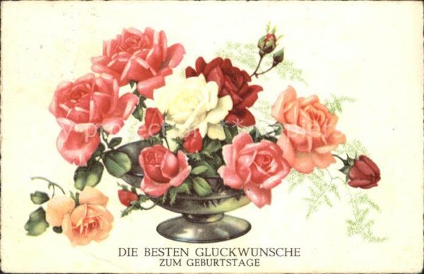 Rosen Glückwunsch Geburtstag