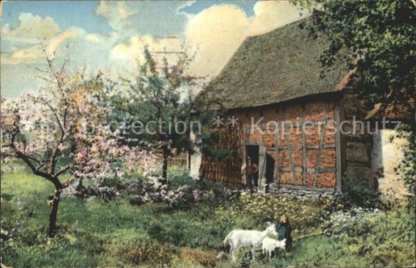 Ziege Mädchen Bauernhof