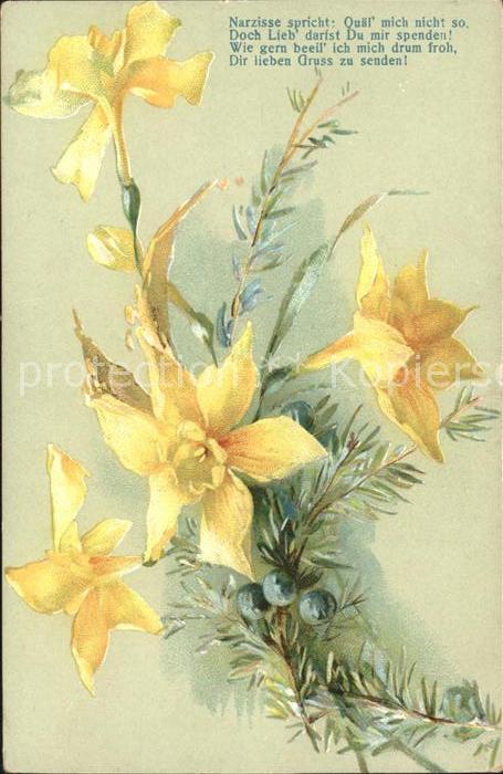 Blumen Narzissen Gedicht