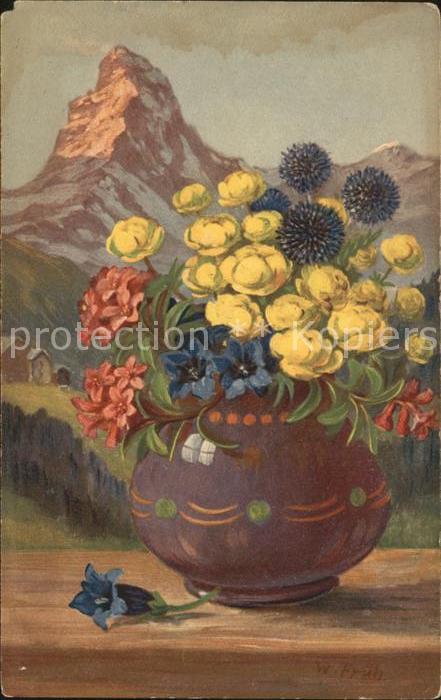 Frueh W. Trollblume Enzian Alpenrose
