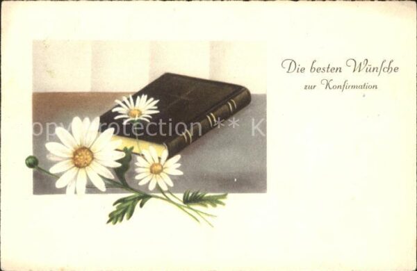 Konfirmation Margeriten Bibel
