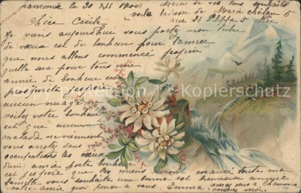 Edelweiss Wasserfall Berge Litho