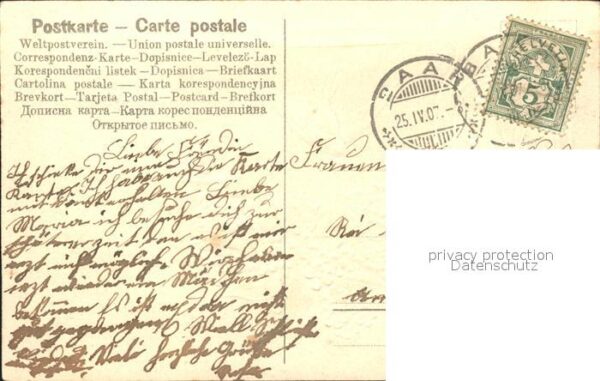 Brieftaube Carrier Pigeon voyageur Vergissmeinnicht Marienkäfer Litho – Bild 2
