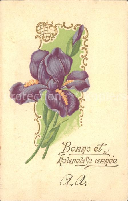 Neujahr Iris