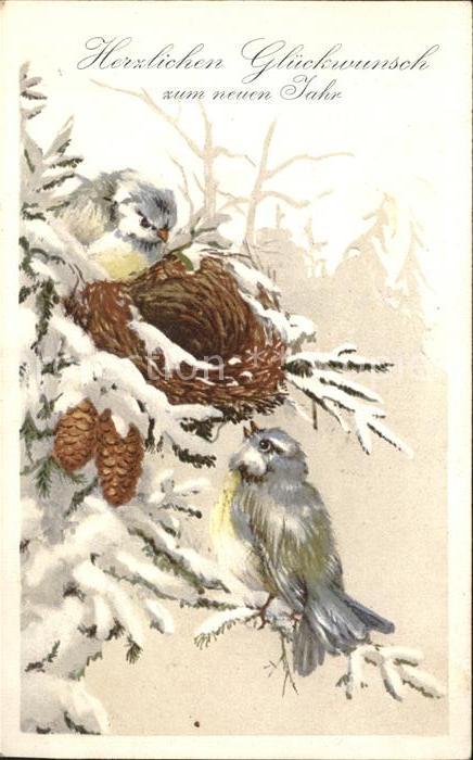 Voegel Vogelnest Tannenzapfen Neujahr