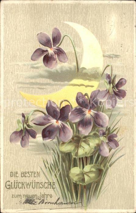 Blumen Veilchen Neujahr Mond