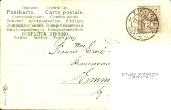 Neujahr Veilchen – Bild 2